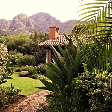 Hotel Arete (Adults Only) Tepoztlán Zewnętrze zdjęcie
