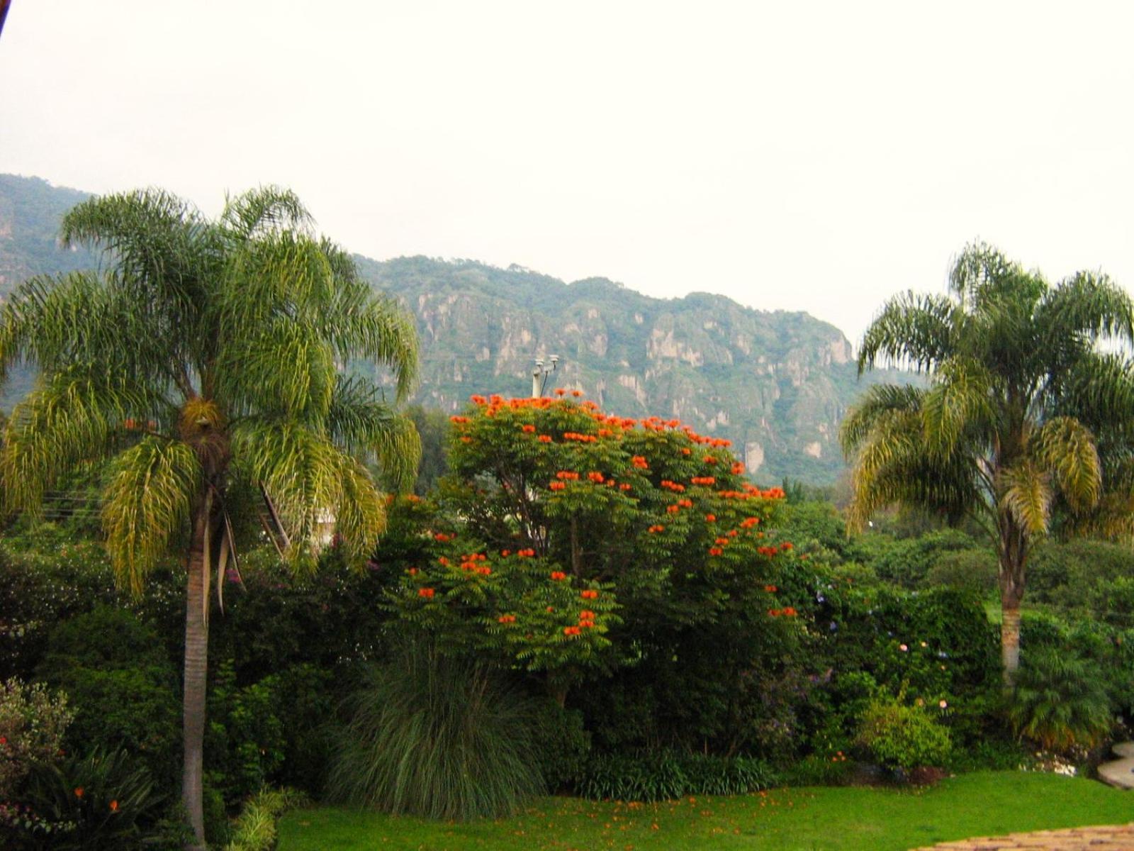 Hotel Arete (Adults Only) Tepoztlán Zewnętrze zdjęcie