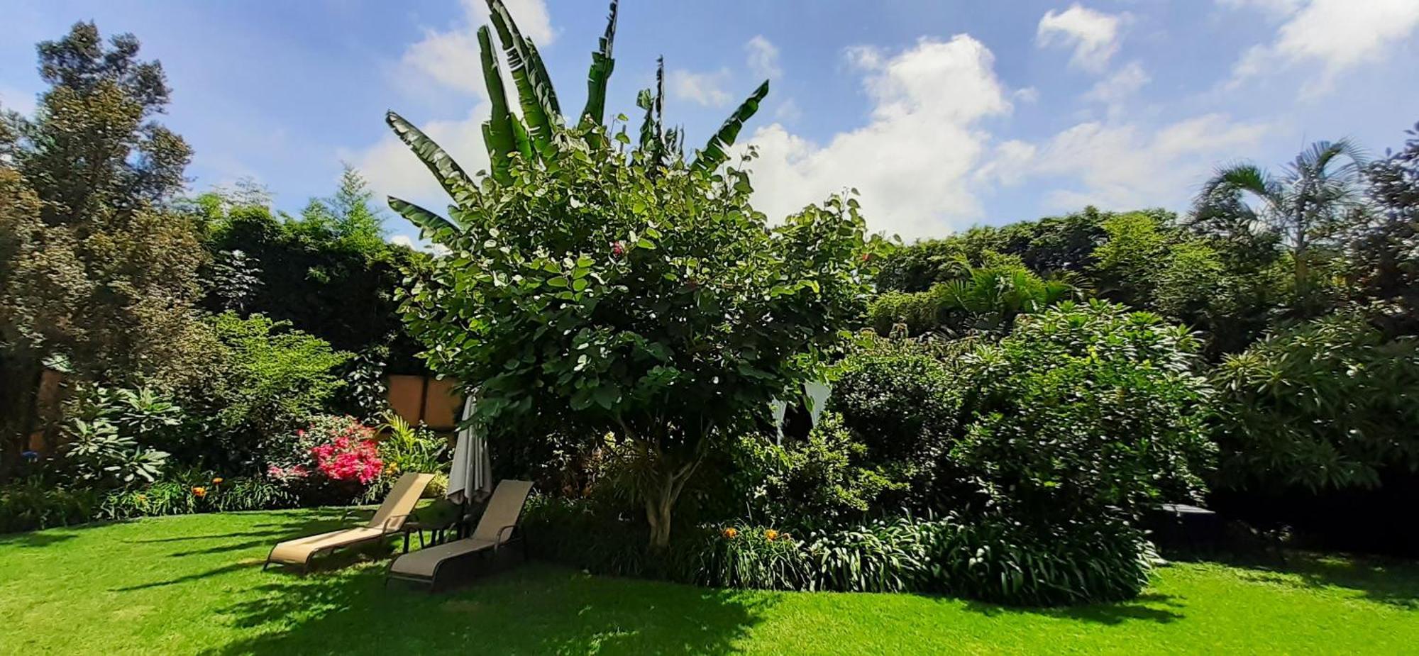 Hotel Arete (Adults Only) Tepoztlán Zewnętrze zdjęcie